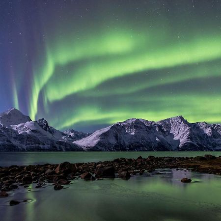 Lyngenfjord,Odins Hus Lejlighed Olderdalen Eksteriør billede