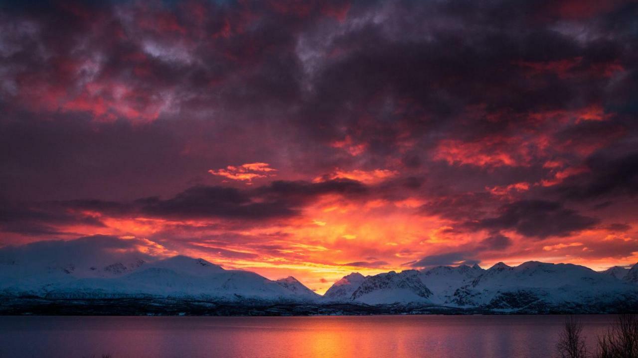 Lyngenfjord,Odins Hus Lejlighed Olderdalen Eksteriør billede