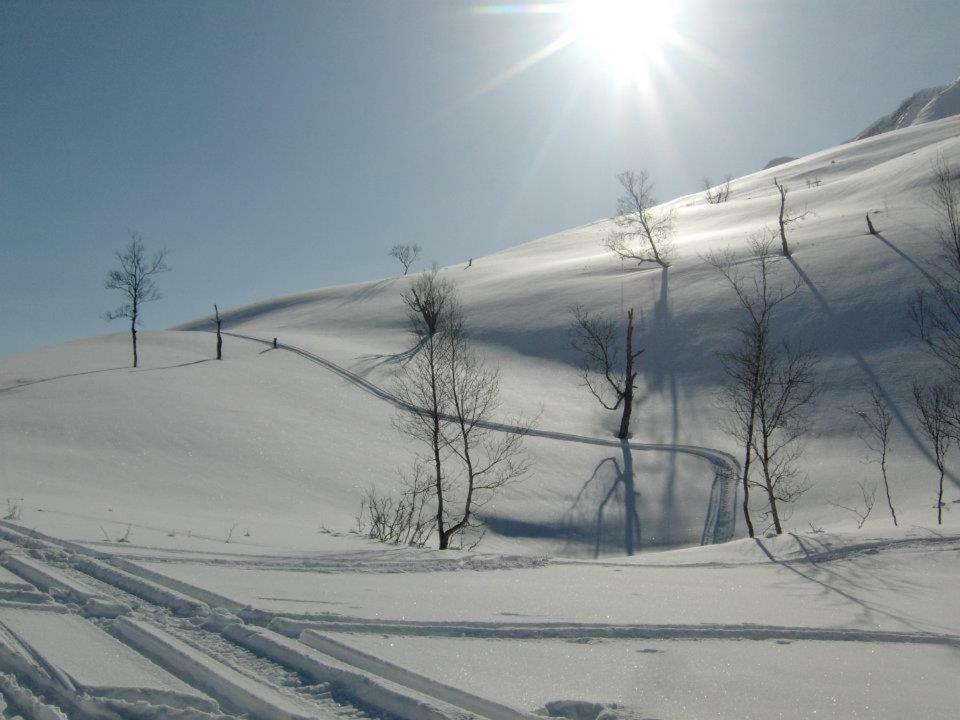 Lyngenfjord,Odins Hus Lejlighed Olderdalen Eksteriør billede