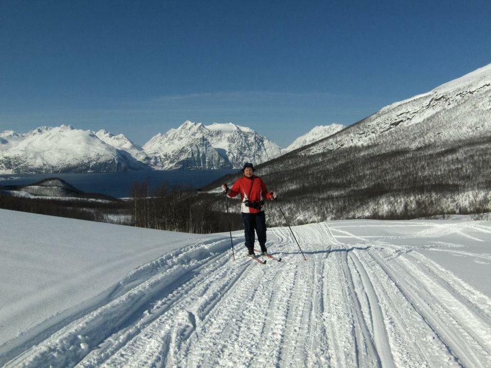 Lyngenfjord,Odins Hus Lejlighed Olderdalen Eksteriør billede